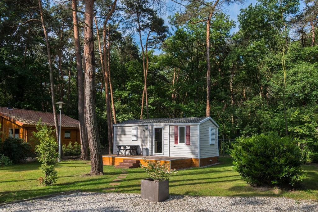 Bospark De Brenkberg Schinveld Oda fotoğraf