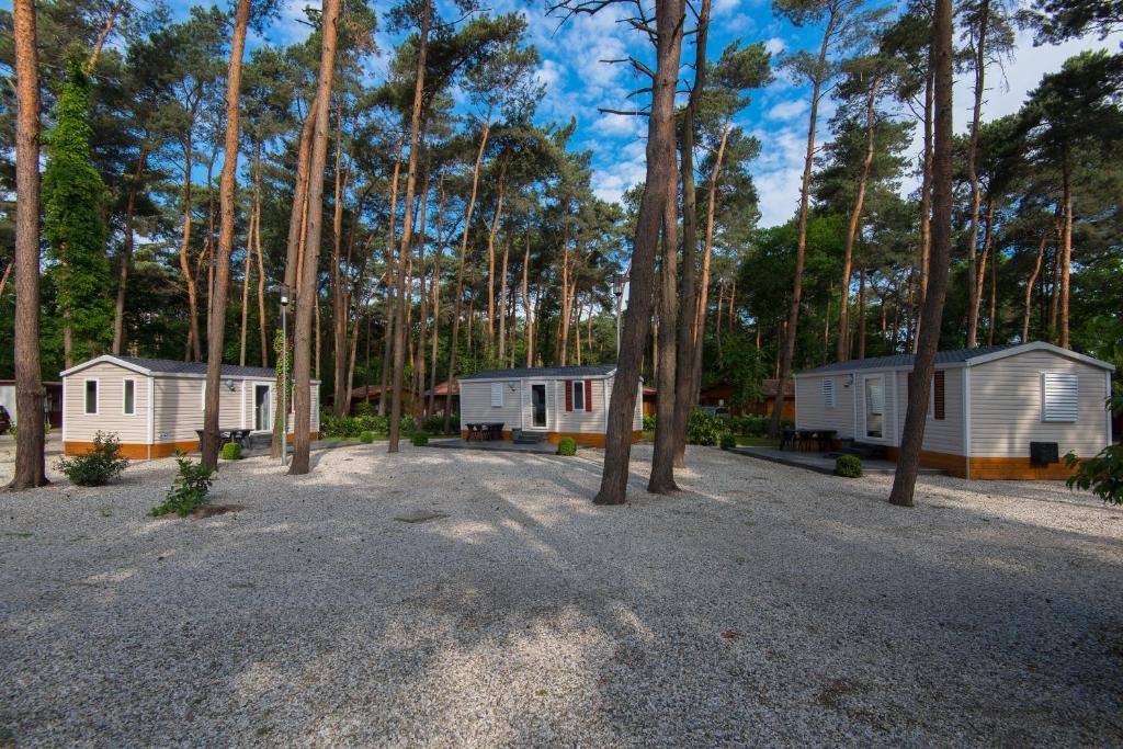 Bospark De Brenkberg Schinveld Oda fotoğraf