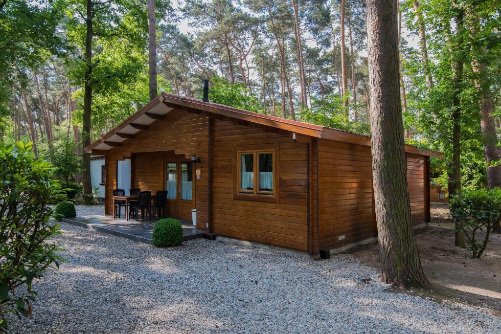 Bospark De Brenkberg Schinveld Oda fotoğraf